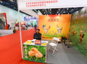2013年中国（北京）国际现代畜牧展览会