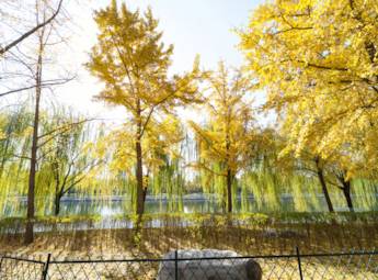 冬日畅游北京八大公园景区