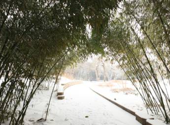 紫竹院雪景