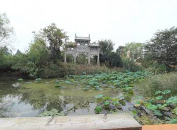 杭州西溪湿地（二）