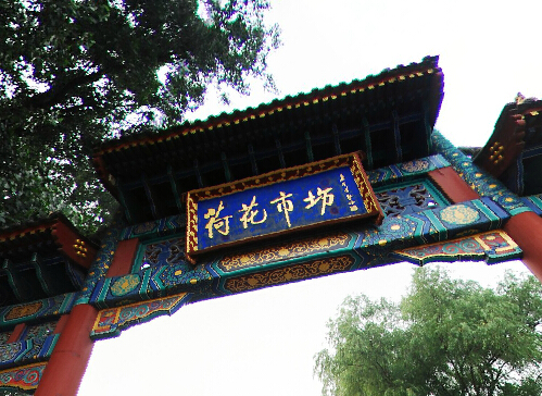 北京荷花市场
